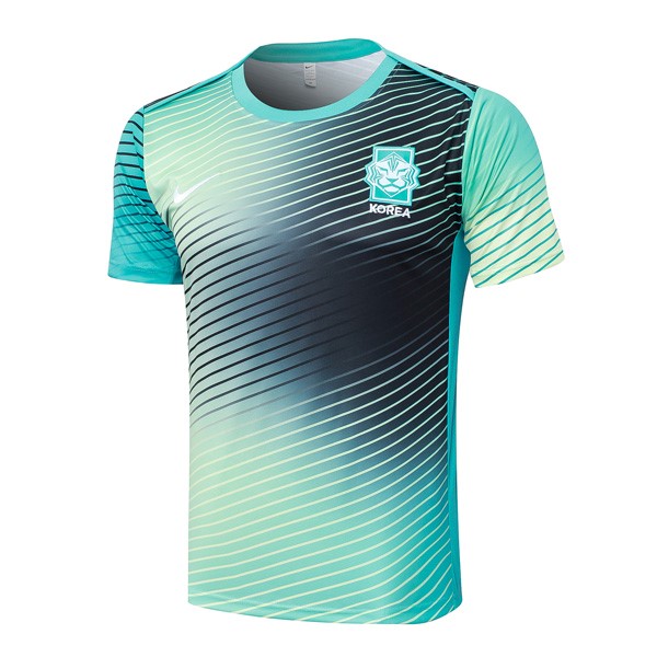 Camiseta Entrenamiento Corea 2024 2025 Azul